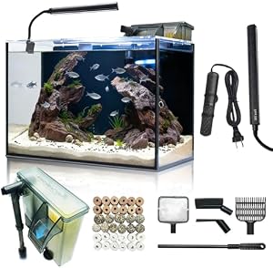 10 Gallon Aquarium Set Glass Fish Tank, Heater Self Cleaning System Filter with Media Brig